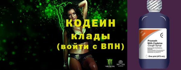 ПСИЛОЦИБИНОВЫЕ ГРИБЫ Арсеньев
