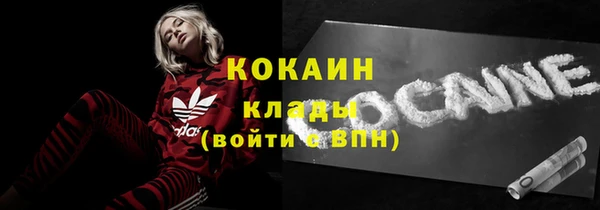 ПСИЛОЦИБИНОВЫЕ ГРИБЫ Арсеньев