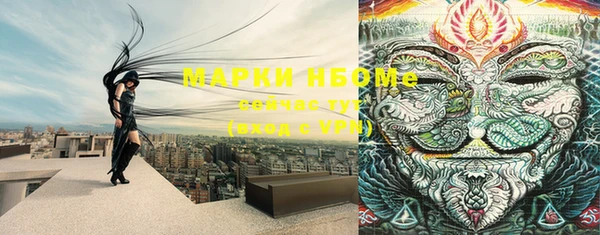 ПСИЛОЦИБИНОВЫЕ ГРИБЫ Арсеньев
