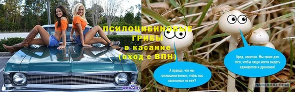 mdpv Сосновоборск