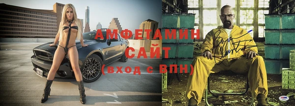 прущие грибы Сосновый Бор