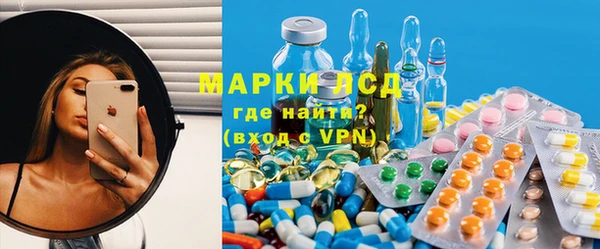 ПСИЛОЦИБИНОВЫЕ ГРИБЫ Арсеньев